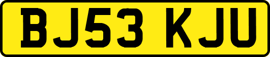 BJ53KJU