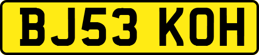 BJ53KOH