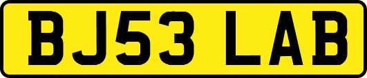 BJ53LAB