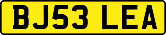 BJ53LEA