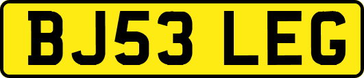 BJ53LEG