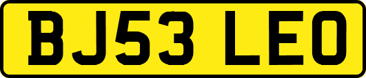 BJ53LEO