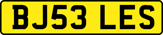 BJ53LES