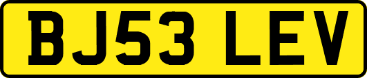 BJ53LEV