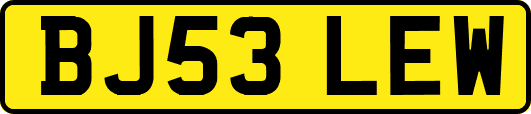 BJ53LEW