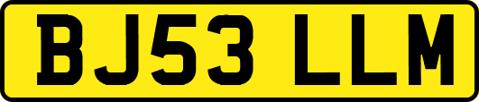 BJ53LLM