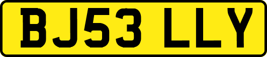 BJ53LLY