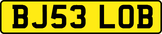 BJ53LOB