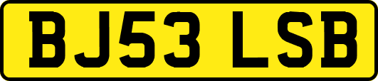BJ53LSB