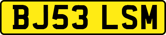 BJ53LSM
