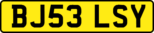 BJ53LSY