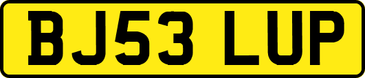 BJ53LUP