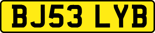 BJ53LYB