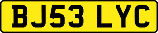 BJ53LYC
