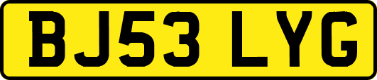BJ53LYG
