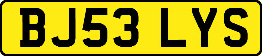 BJ53LYS