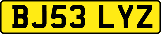 BJ53LYZ
