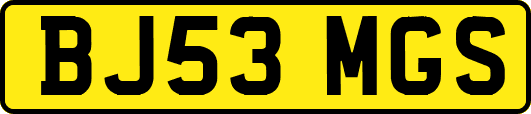 BJ53MGS