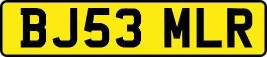 BJ53MLR