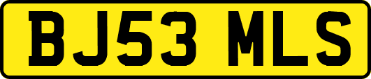 BJ53MLS