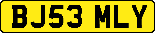BJ53MLY