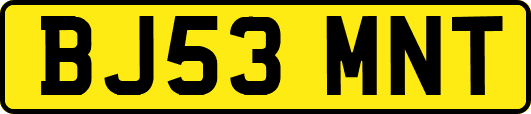 BJ53MNT