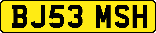 BJ53MSH