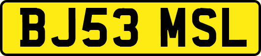 BJ53MSL