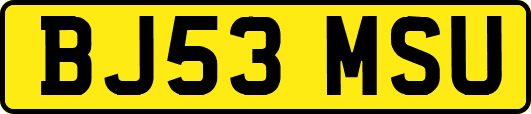 BJ53MSU