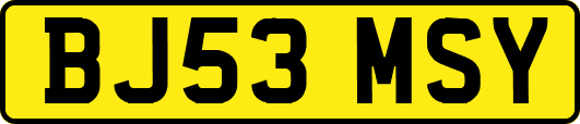 BJ53MSY