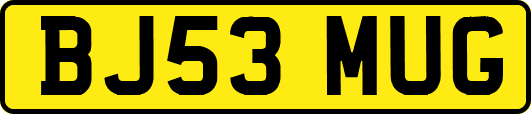 BJ53MUG
