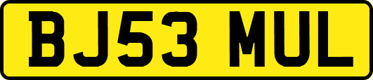 BJ53MUL