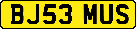 BJ53MUS