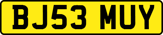 BJ53MUY