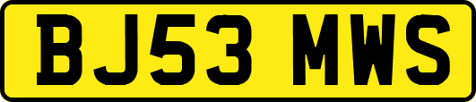 BJ53MWS