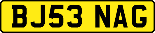 BJ53NAG