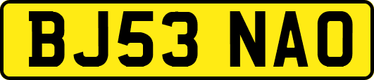 BJ53NAO
