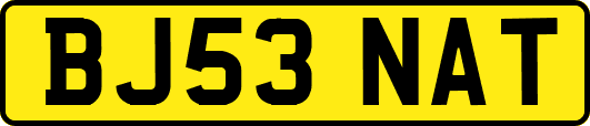 BJ53NAT