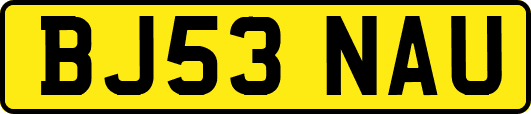 BJ53NAU