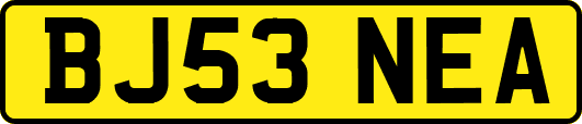 BJ53NEA