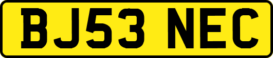 BJ53NEC