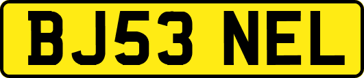 BJ53NEL