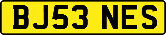 BJ53NES