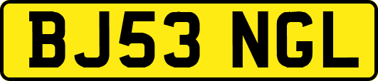 BJ53NGL