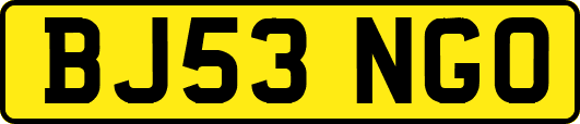 BJ53NGO