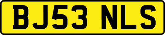 BJ53NLS