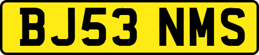 BJ53NMS