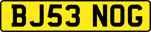 BJ53NOG