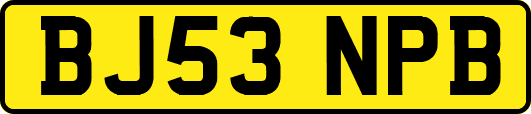 BJ53NPB