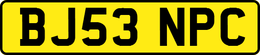 BJ53NPC